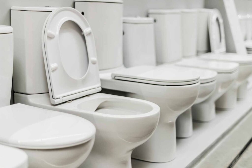 choix et installation de toilette