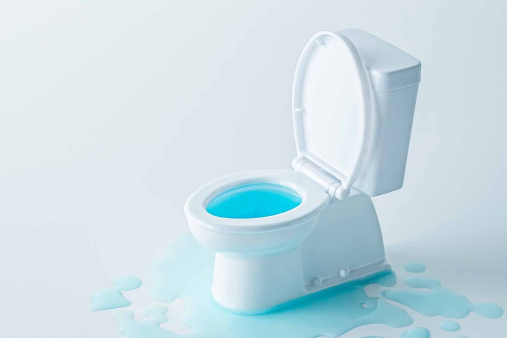 toilette bouchée qui déborde